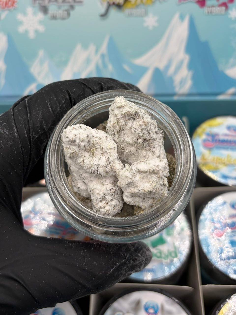 ARCADIA SNOWCAPS