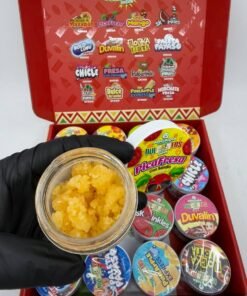 Arcadia Dulcecitos Crumble Case
